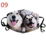 Dogs Printed Face Mask