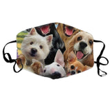 Dogs Printed Face Mask